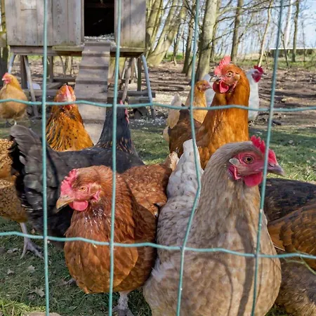 20620-samso-norreskiftevej-51-b Tatil Evi