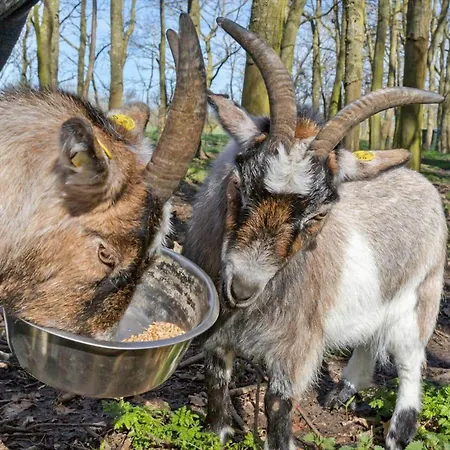 20620-samso-norreskiftevej-51-b *