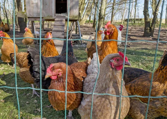 20620-samso-norreskiftevej-51-b Dom wakacyjny