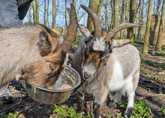 20620-samso-norreskiftevej-51-b *